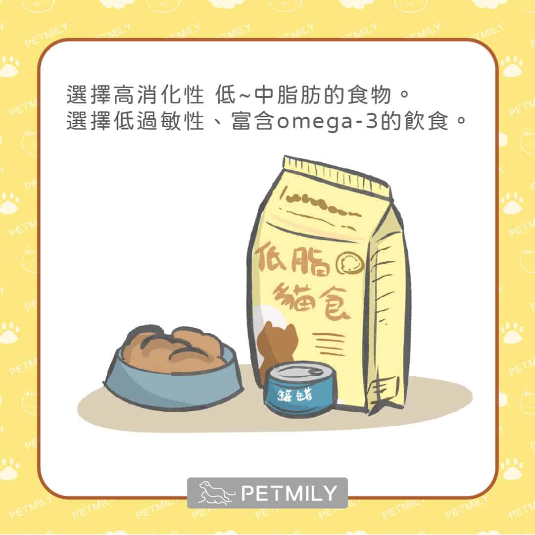 貓主子長期上吐下瀉 有可能是慢性腸道炎症 Ibd 寵物迷petmily
