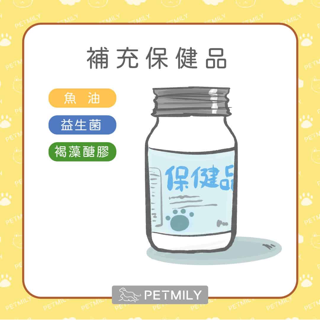 貓主子長期上吐下瀉,有可能是慢性腸道炎症(IBD)! - 寵物迷Petmily