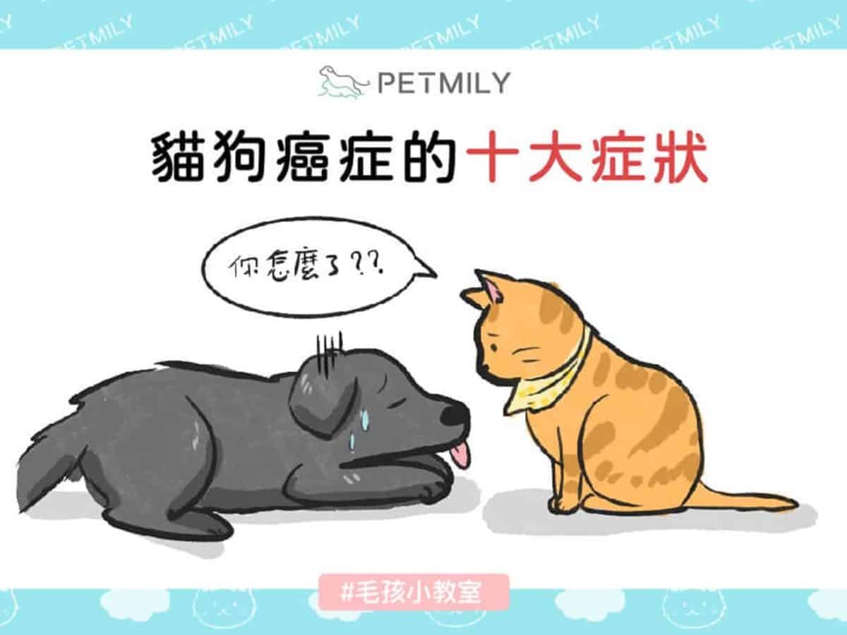 貓狗癌症的十大症狀