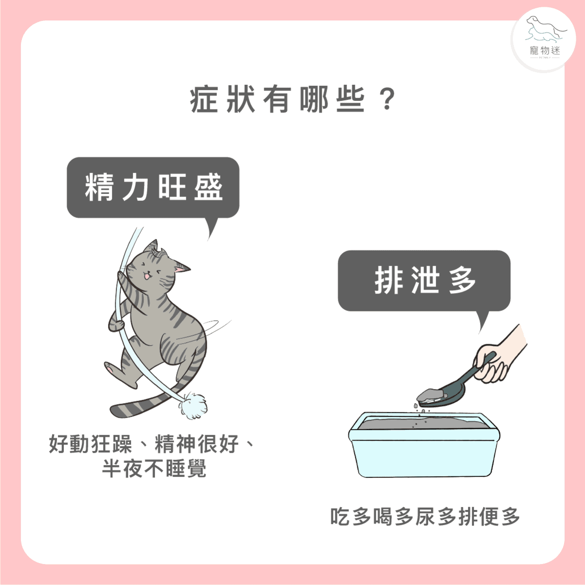 貓甲狀腺機能亢進的治療與照顧- 寵物迷Petmily